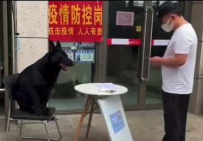 抽象晶哥