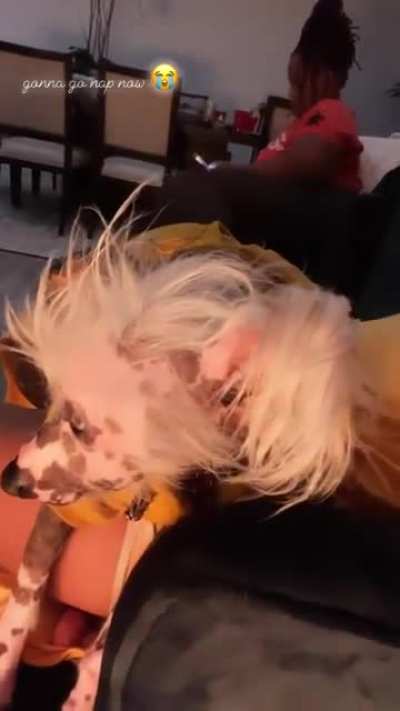 🤎