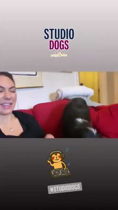 Elize Ryd