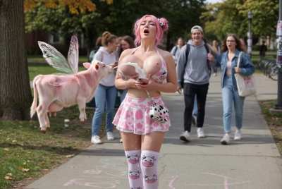 The fairy cows raided a college campus