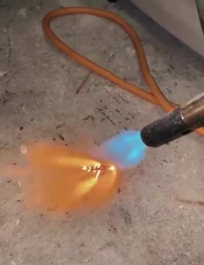 Cursed_crispy bug
