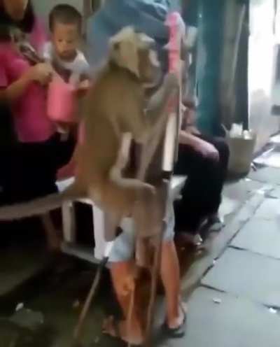 Monkey on stilts