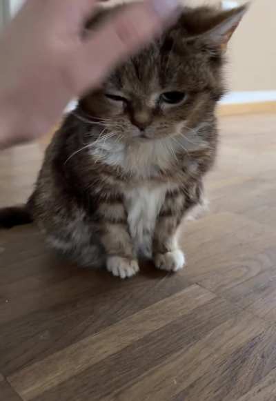 Bro woke up a lil&rsquo; grumpy🥺🤭