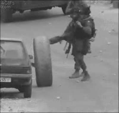 to show that tire who is boss