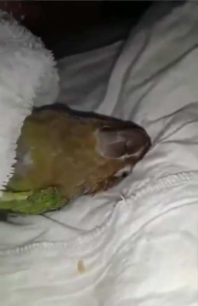 maybe maybe maybe