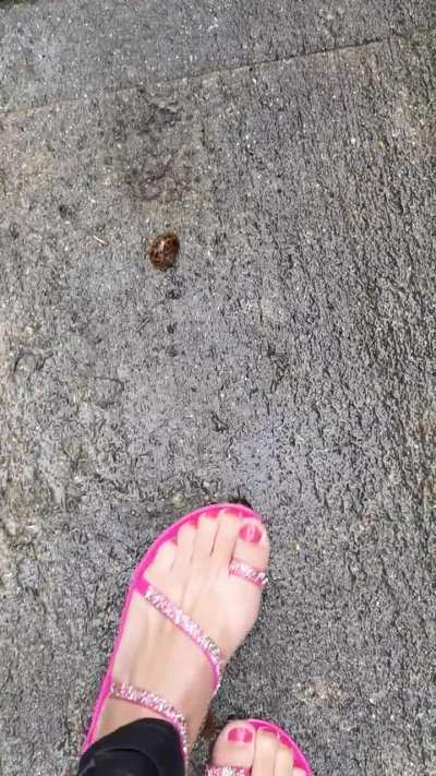 Jelly sandals vs snails