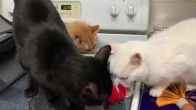 They don&rsquo;t really like to share.