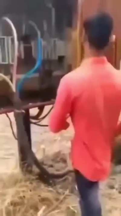 Eu quero achar o v&iacute;deo original sem o corte no final
