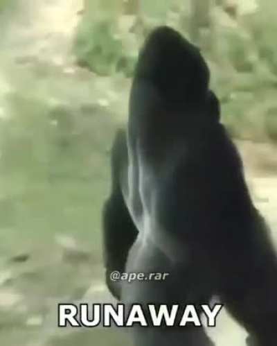 Título.