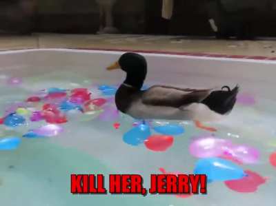 God dammit, Jerry
