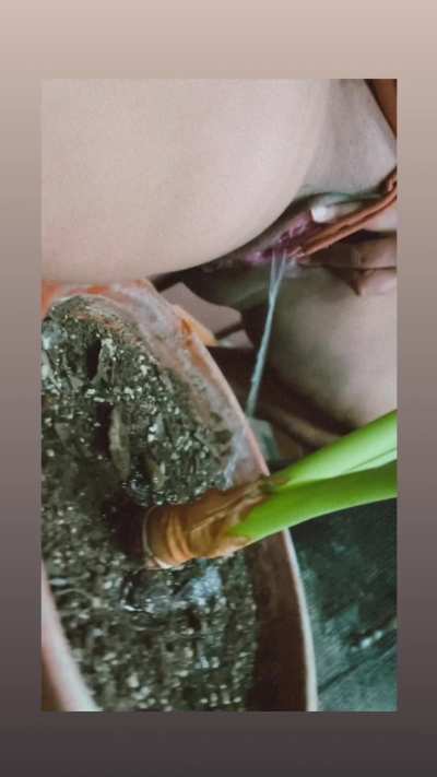 Watering my housemates indoor plant (he&rsquo;s home) 