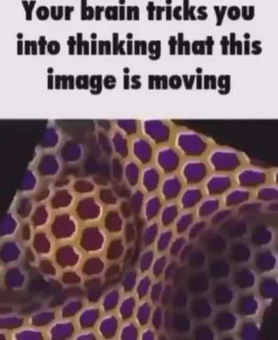 This image didn't move trust me