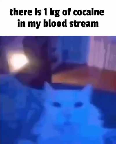 Is that a lot