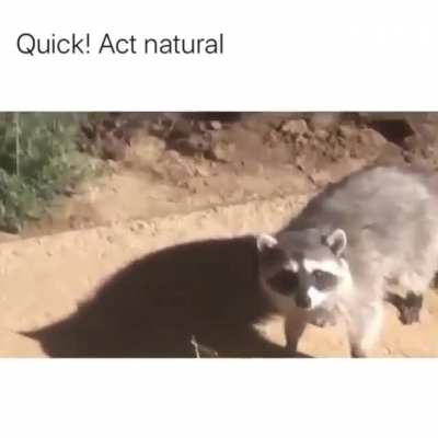 This vid just made my day even better