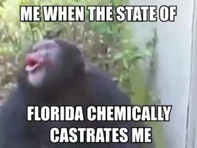 monke