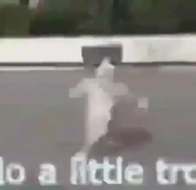E e e a a a a a a a a