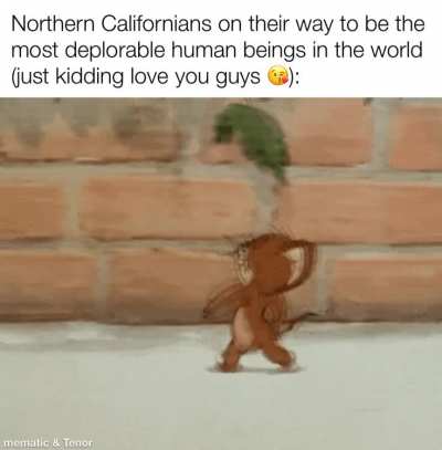 oh no i&rsquo;m going to anger the three northern californians 🫢