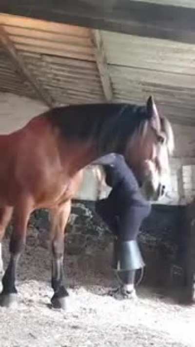 Life hack Ride a horse