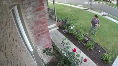 My next door neighbor cuts off some roses from my yard. Already towed one of their tenants car for parking on my driveway. What is the best course of action? I just can&rsquo;t believe I have to talk about this to them not respecting my property rights (Anaheim