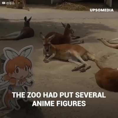 Penguin of Culture (R.I.P &eth;&cent;) CTTO