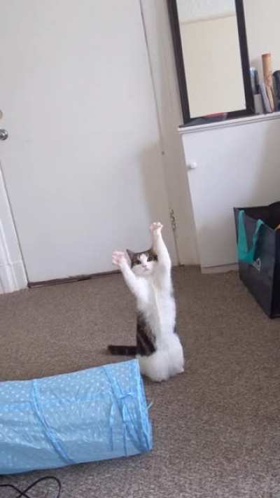'Hey, don't look at your lecture, look at me!'