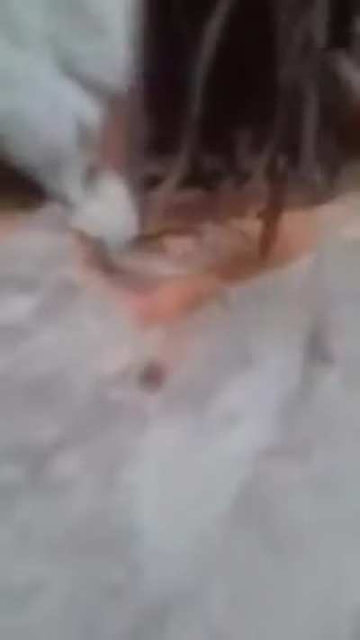 &Oacute; o calango