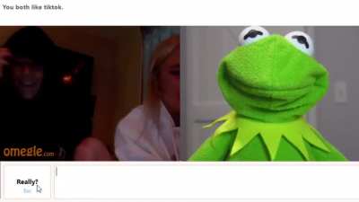 Kermit just flirt around.