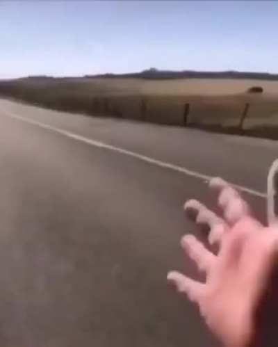 aaaaa