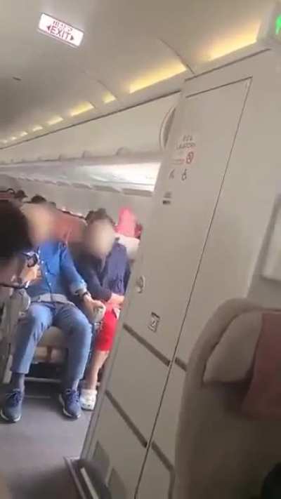 A plane landed safely in a South Korean airport after a passenger opened an exit door during the flight