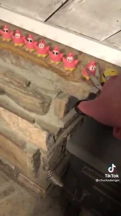 Not Patrick!