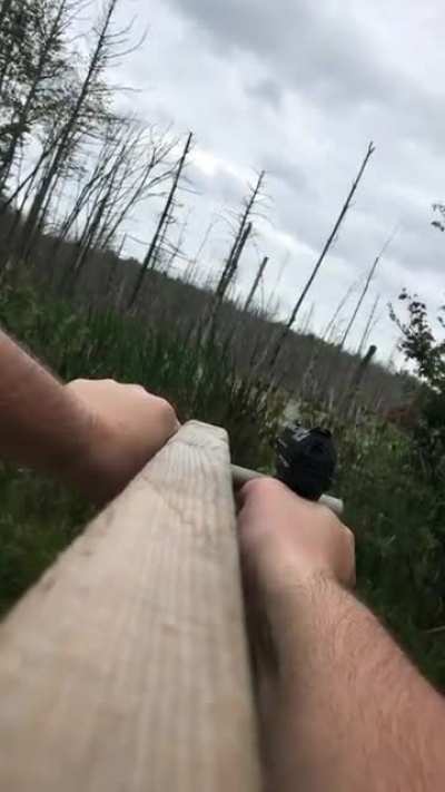 The Freedom Stick