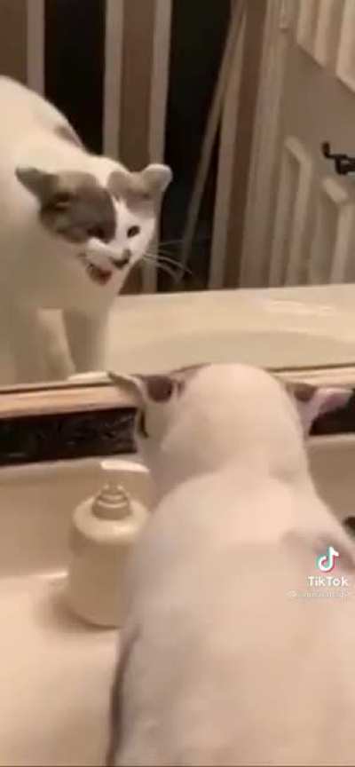 I&rsquo;ve never seen someone hate their reflection that much -