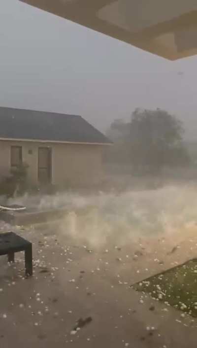 Tormentita en MDP