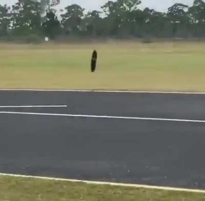 &ldquo;This is Eagle 1, we have eyes on the target&rdquo;