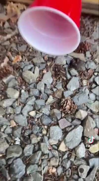 So that&rsquo;s what bees really sound like.