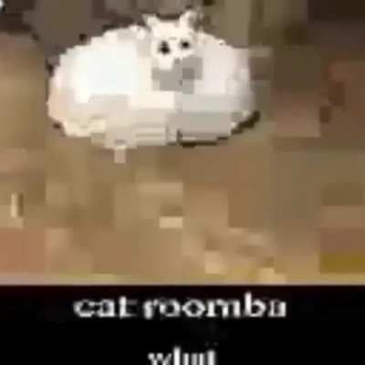 Rule