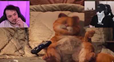 This is what happens when u watch both Garfield movies and have to take a shot everytime it says &ldquo;Monday&rdquo; or &ldquo;Lasagna&rdquo;