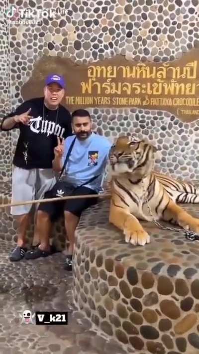 Sure, let's poke the tiger with a stick. 