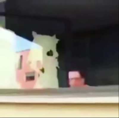 OhAyOoO
