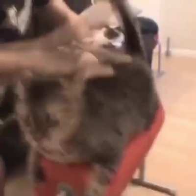Sound on