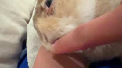 His little face