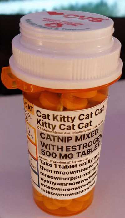 furry💊irl