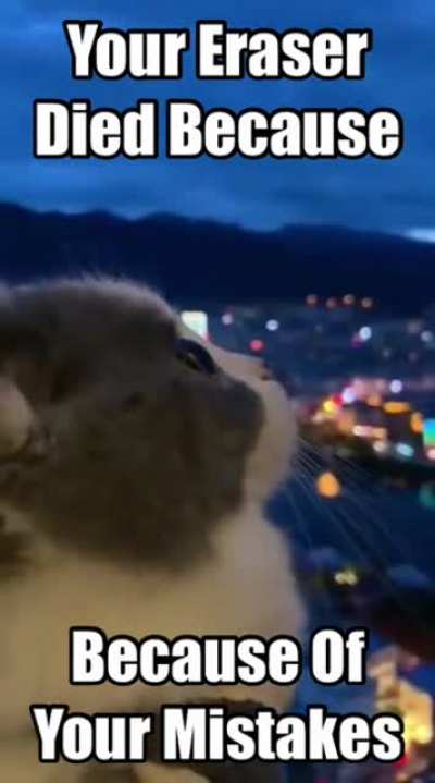 Blursed_erasor
