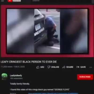 leafyisbeefy