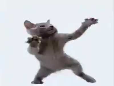 Enjoy this