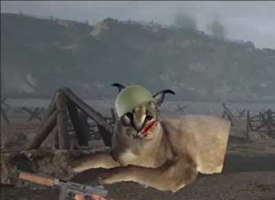 ْ