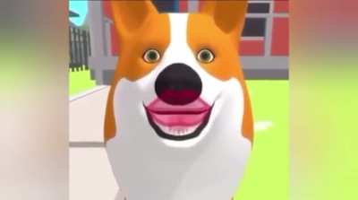 PET> WOMAN