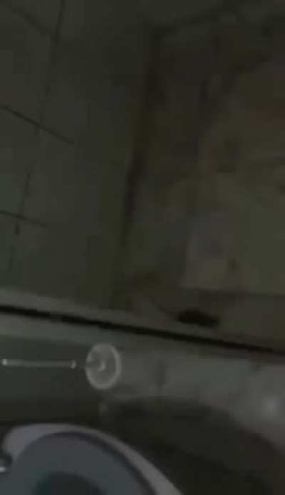 S&oacute; sai um vivo daqui