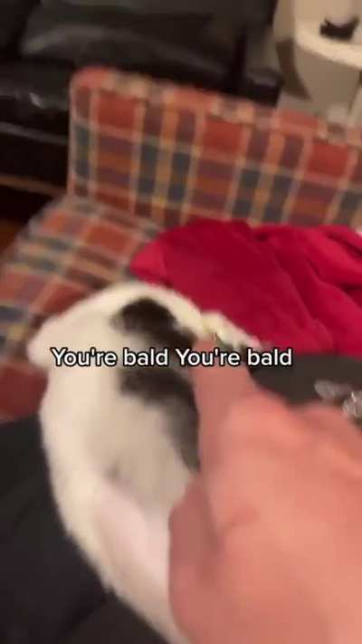 maybe maybe maybe