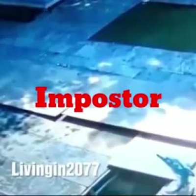 Sem Título